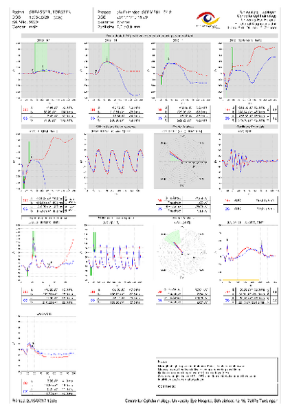 Image ERG Explorer