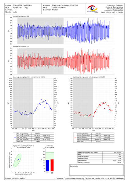 Image ERG Explorer